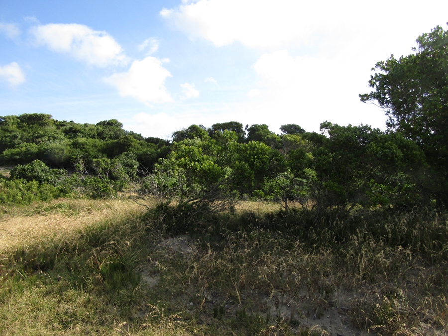 0 Bedroom Property for Sale in Paradise Beach Eastern Cape